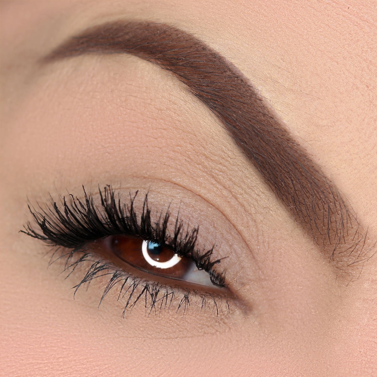 Produto Kit_Vizzela_Easy_Brow_Cor_2_Cat_Lovers_Marrom_Lapis_Máscara_Sobrancelha_Evas_4