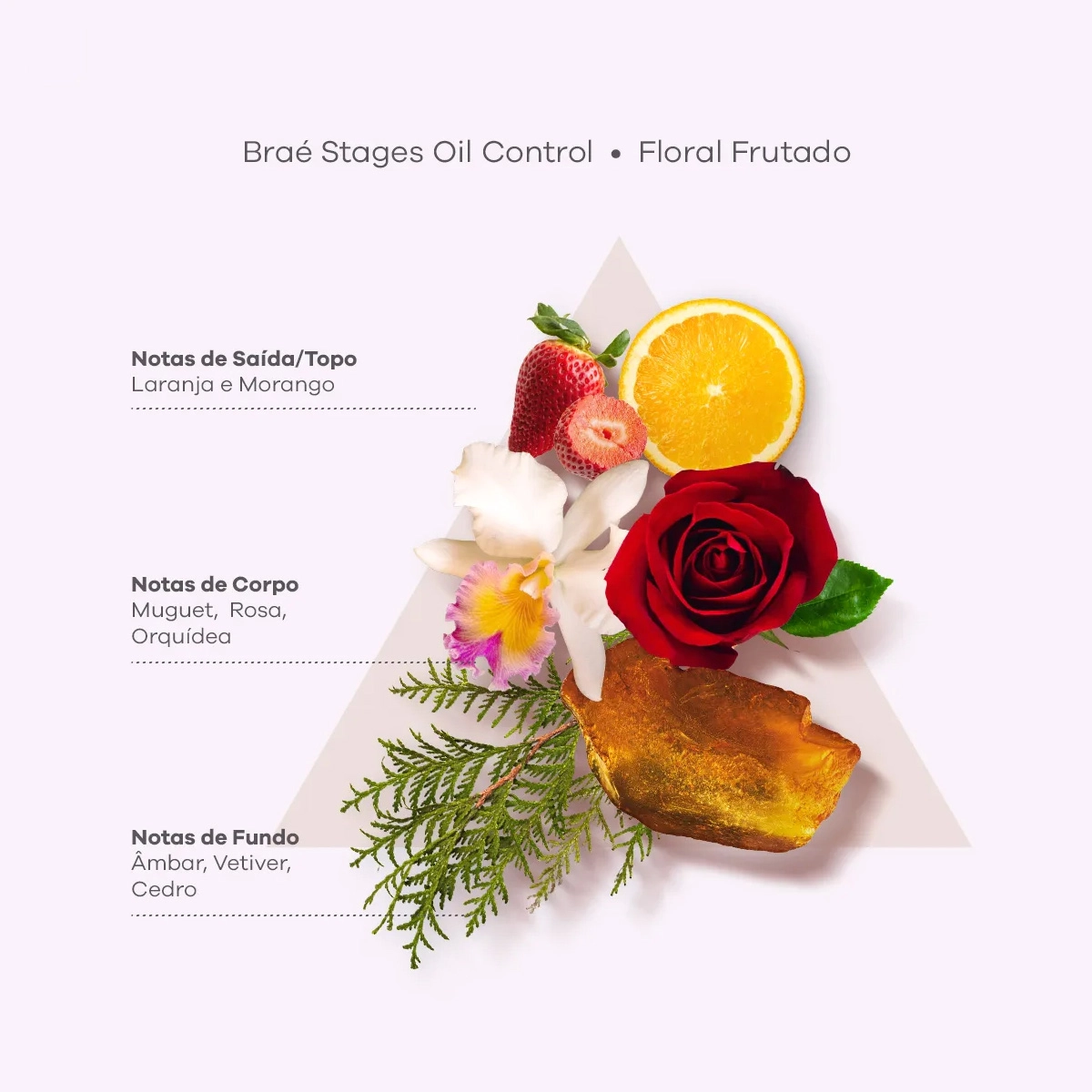 Produto Kit_Brae_Stages_Oil_Control_Shampoo_Condicionador_Evas_4