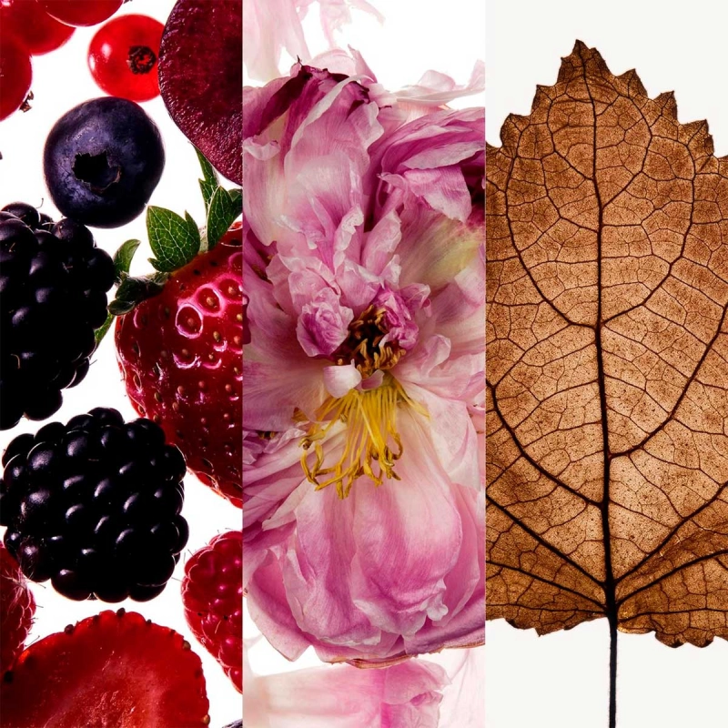 Carolina_Herrera_212_VIP_Rose_NY_Rodeo_Eau_de_Parfum_Perfume_Feminino_Evas_4