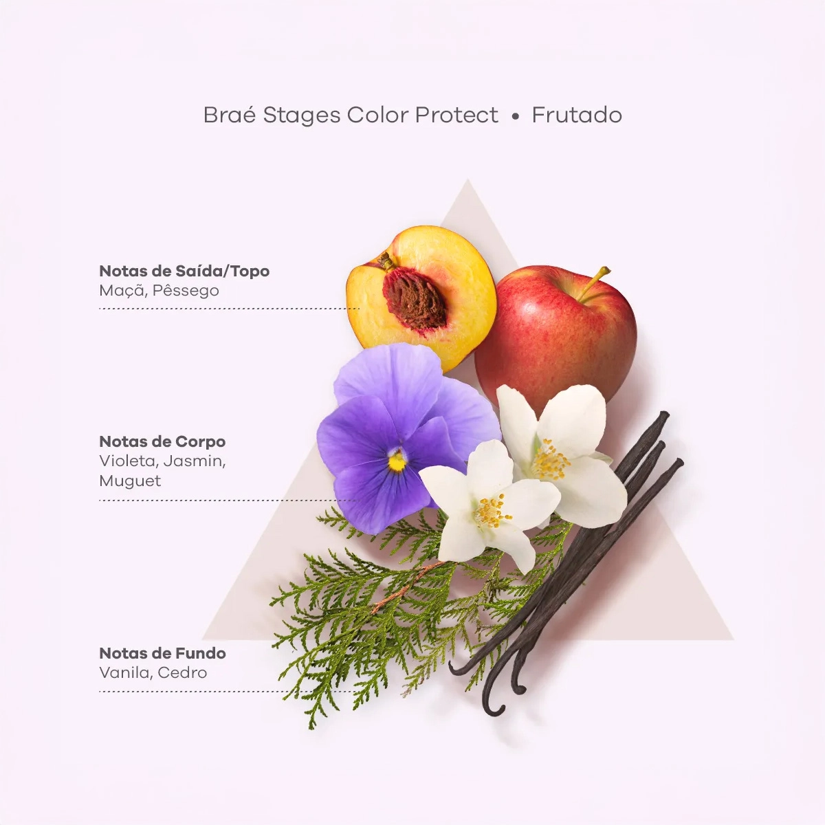 Kit_Brae_Stages_Color_Protect_Shampoo_Mascara_Evas_5
