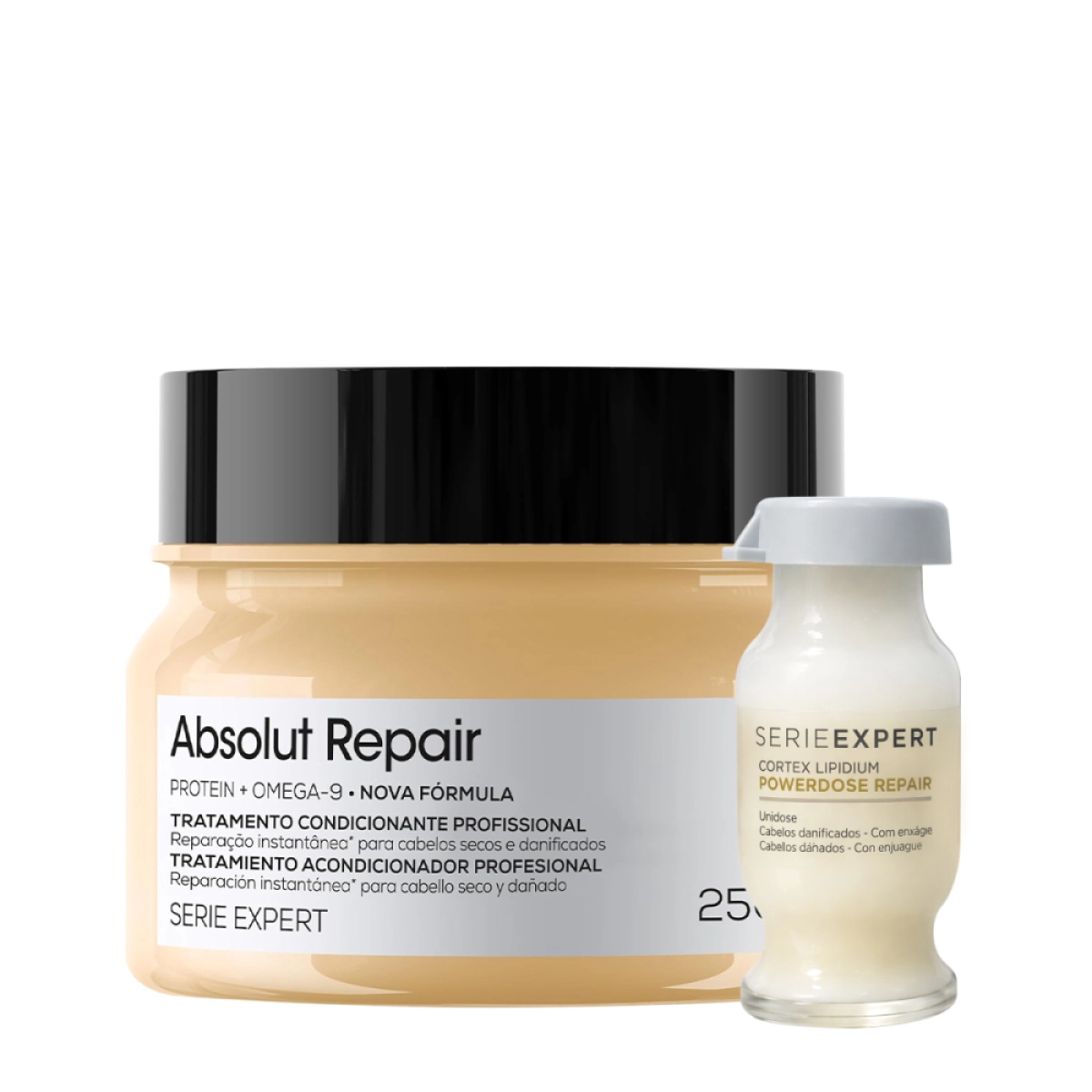 Kit L'Oréal Professionnel Serie Expert Absolut Repair Gold Máscara E Power Repair (2 Produtos)