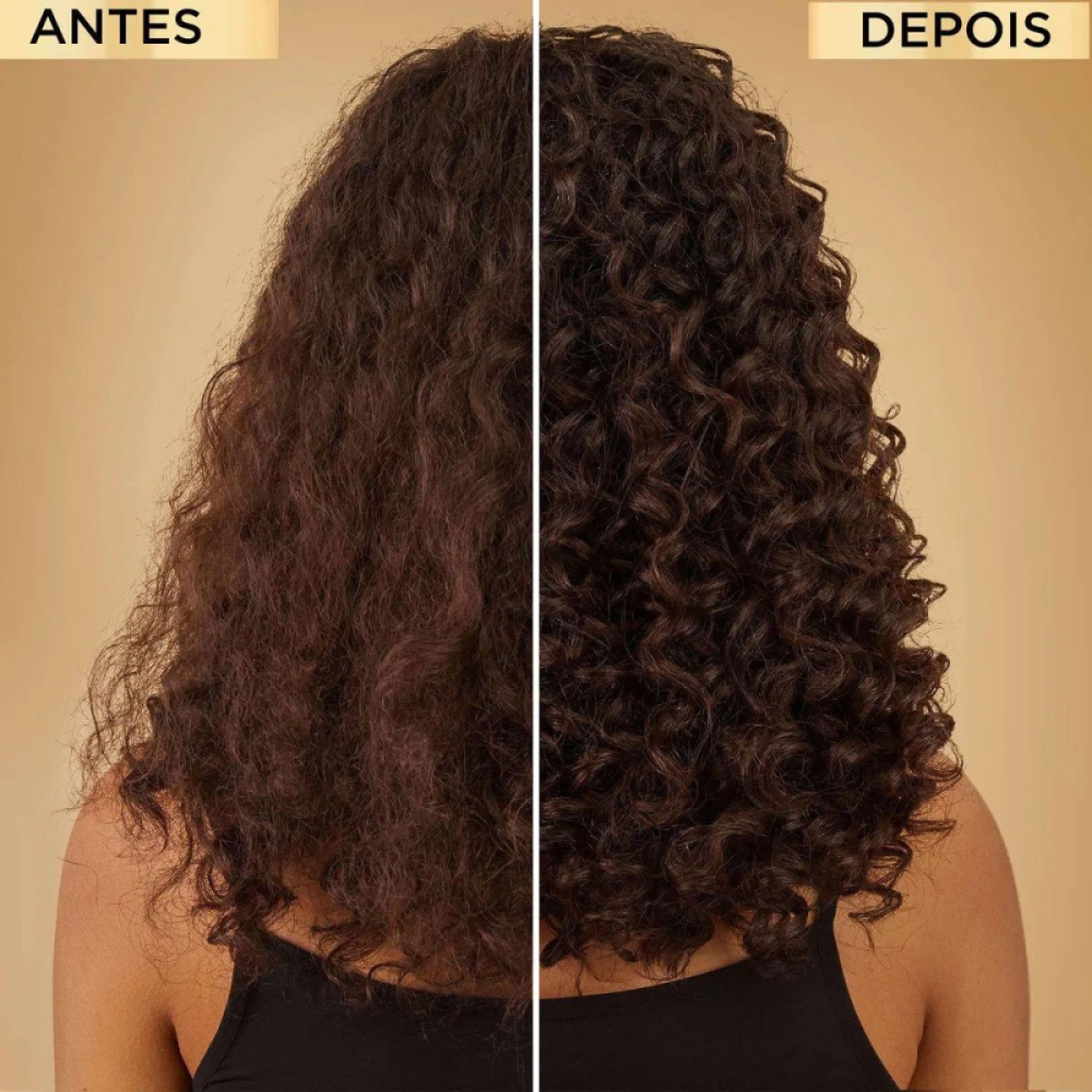 L_Oreal_Paris_Elseve_Oleo_Extraordinario_Oleo_Capilar_100ml_Evas_4 Produto L_Oreal_Paris_Elseve_Oleo_Extraordinario_Oleo_Capilar_100ml_Evas_4