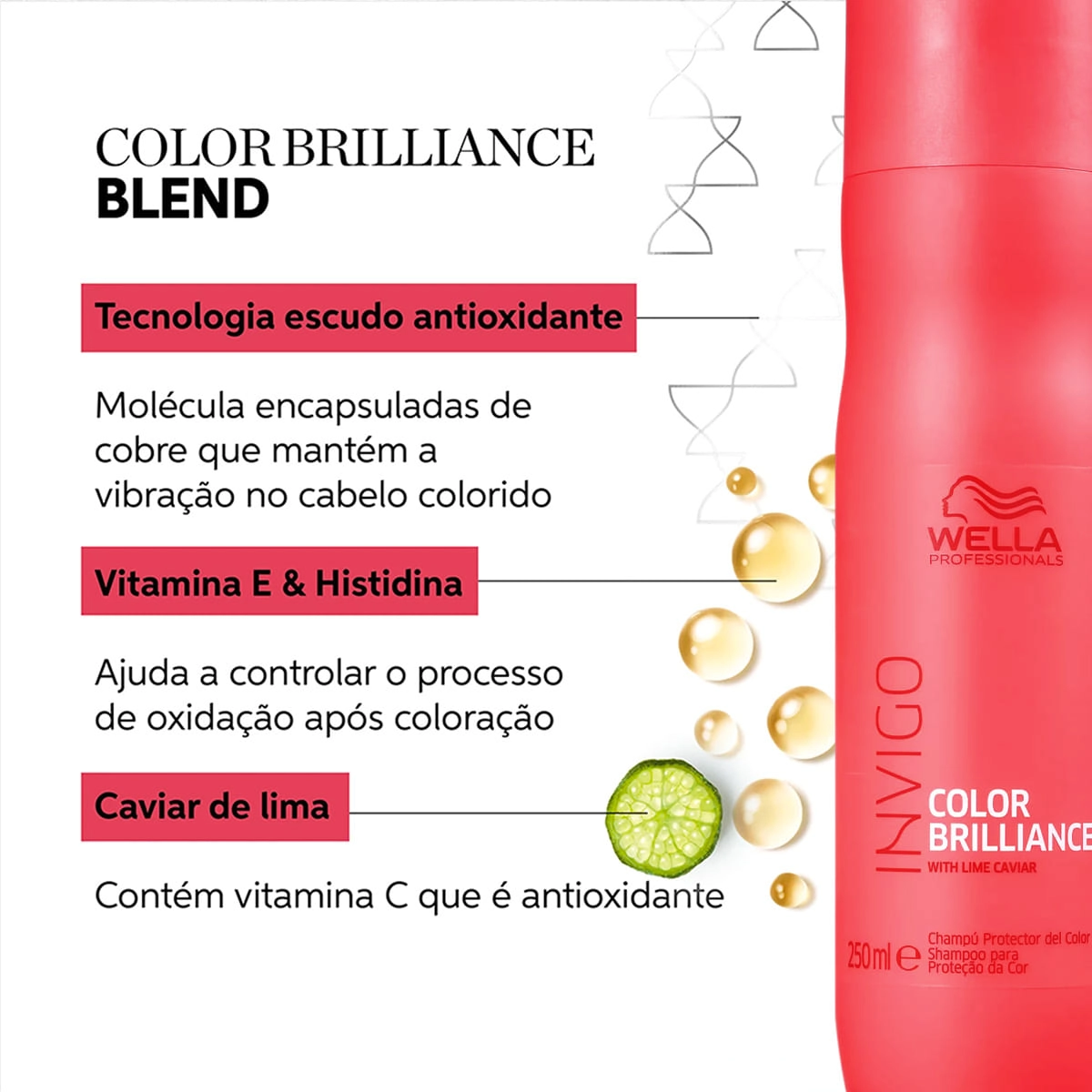 Produto: Shampoo Wella Professionals Invigo Color Brilliance 250ml