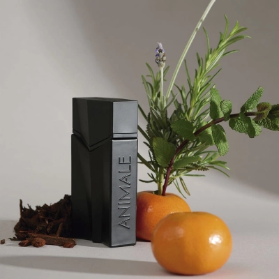 Produto: Perfume Animale Seduction Homme Eau De Toilette Masculino 100ml
