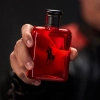 Thumbnail Ralph_Lauren_Polo_Red_Eau_de_Toilette_Perfume_Masculino_125ml_Evas_4 Thumbnail Ralph_Lauren_Polo_Red_Eau_de_Toilette_Perfume_Masculino_125ml_Evas_4