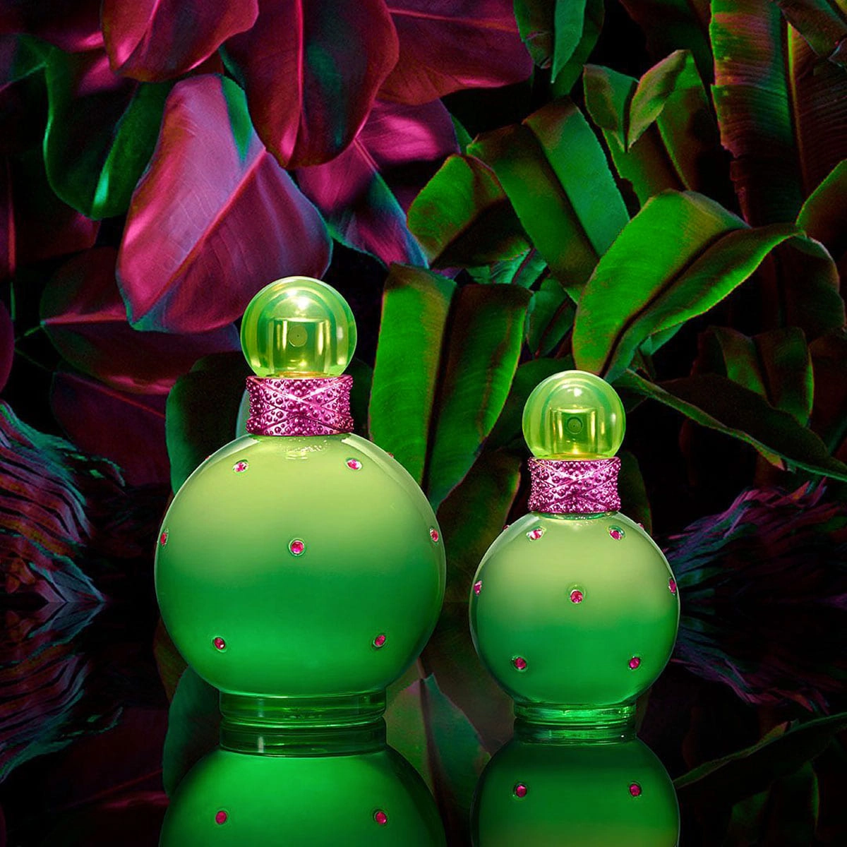 Thumbnail Britney_Spears_Jungle_Fantasy_Eau_de_Toilette_Perfume_Feminino_Fragrancia_Floral_Verde_Gourmand_Doce_Evas_4 Thumbnail Britney_Spears_Jungle_Fantasy_Eau_de_Toilette_Perfume_Feminino_Fragrancia_Floral_Verde_Gourmand_Doce_Evas_4