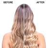 Thumbnail Kit_Alfaparf_Semi_di_Lino_Moisture_Nutritive_-_Nutricao_e_Brilho_2_produtos_Evas_4 Thumbnail Kit_Alfaparf_Semi_di_Lino_Moisture_Nutritive_-_Nutricao_e_Brilho_2_produtos_Evas_4