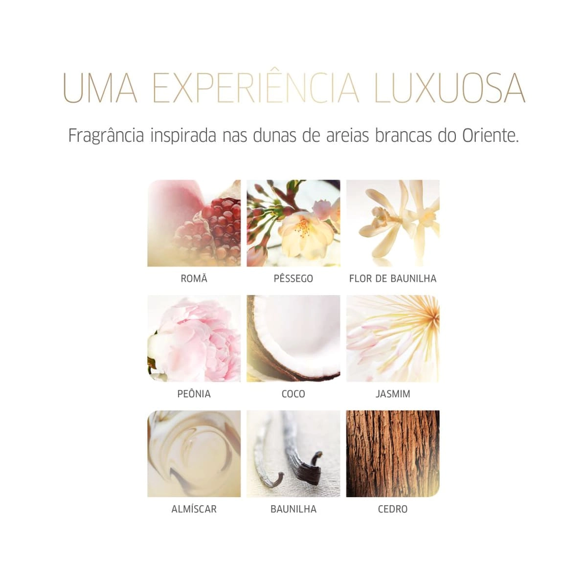 Thumbnail Wella_Professionals_Oil_Reflections_Luminous_Reveal_Shampoo_Litro_Evas3 Thumbnail Wella_Professionals_Oil_Reflections_Luminous_Reveal_Shampoo_Litro_Evas3